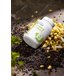 БАД «Комплекс витаминов группы В». Серия Phytopolis.